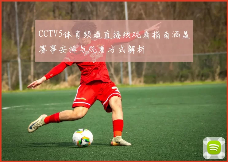 CCTV5体育频道直播线观看指南涵盖赛事安排与观看方式解析