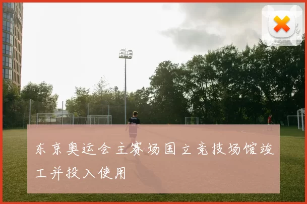 东京奥运会主赛场国立竞技场馆竣工并投入使用