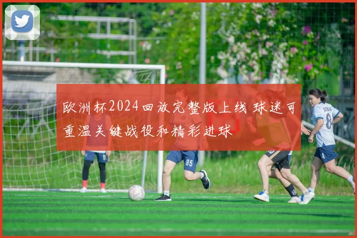 欧洲杯2024回放完整版上线 球迷可重温关键战役和精彩进球