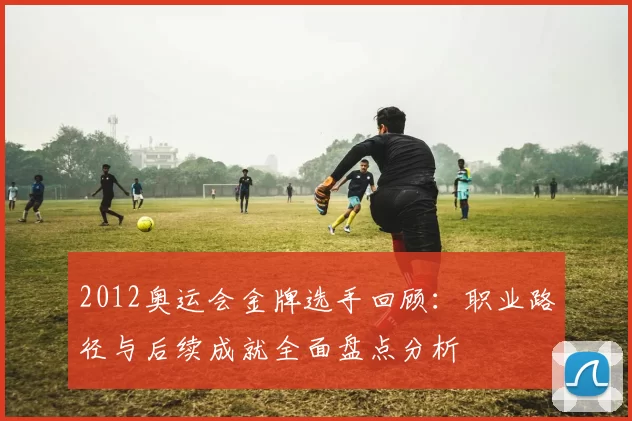 2012奥运会金牌选手回顾：职业路径与后续成就全面盘点分析