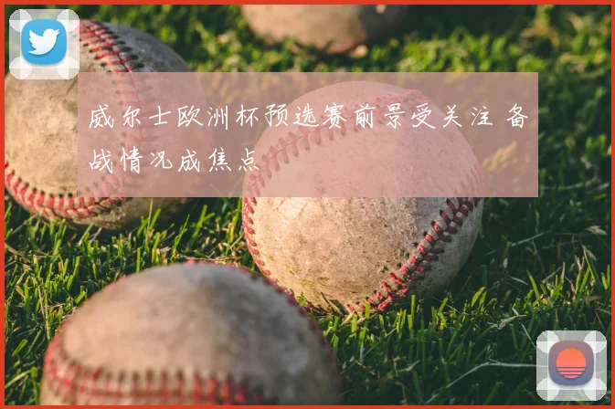 威尔士欧洲杯预选赛前景受关注 备战情况成焦点